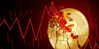 Bitcoin Crashes Listed Below $30,000, Bearish Market Or Bullish Setup?