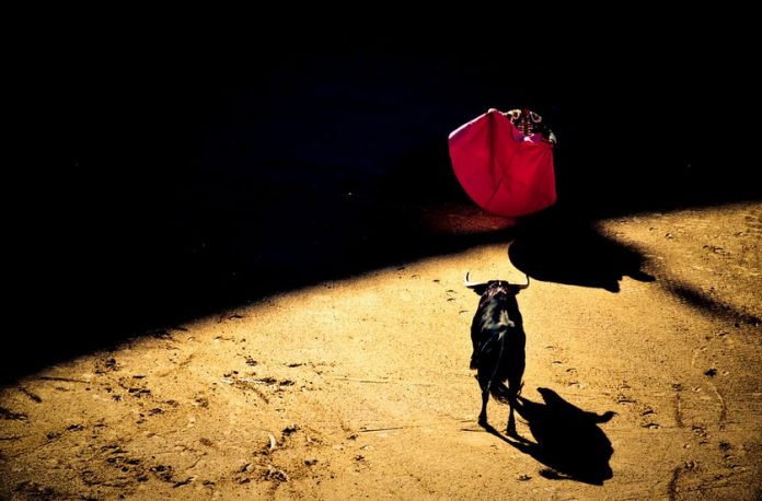 Bulls Back In Control? Why Bitcoin Miners Might Be The Secret To Break $40,000