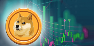 Cardano (ADA) And Dogecoin (DOGE) Record Highest Gains As Crypto Market Rises