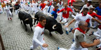Prepared To Run: Bitcoin Forms Finest Carrying Out Booming Market Bottoming Pattern