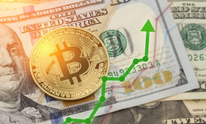 Bitcoin To Go Beyond $120,000 In A Year, States Pantera CEO