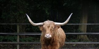 The Bullish Bitcoin Crossover Nobody Is Focusing On