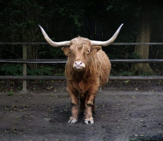 The Bullish Bitcoin Crossover Nobody Is Focusing On