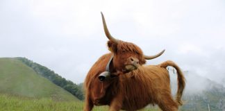 Bitcoin Looks Bullish As Financing Rates Turn Favorable Bitcoin Looks Bullish As Financing Rates Turn Favorable
