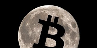 Bitcoin to the Moon? Substantial cost rally divides experts in their forecasts for 2021 Bitcoin to the Moon? Substantial cost rally divides experts in their forecasts for 2021
