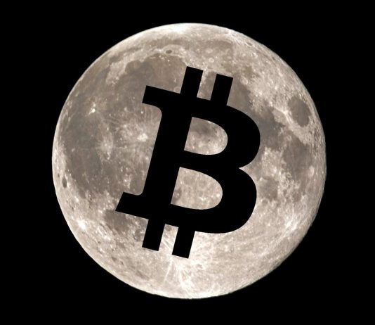 Bitcoin to the Moon? Substantial cost rally divides experts in their forecasts for 2021
