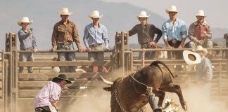 What Bearishness? Bulls Now “In Control” Over Every Bitcoin Timeframe