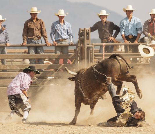 What Bearishness? Bulls Now “In Control” Over Every Bitcoin Timeframe