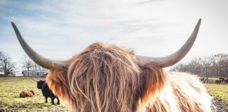 Regardless of Dip To $44 K, On-chain Data Recommends Bitcoin Still Bullish Regardless of Dip To $44 K, On-chain Data Recommends Bitcoin Still Bullish