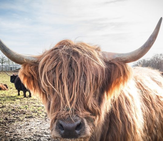 Regardless of Dip To $44 K, On-chain Data Recommends Bitcoin Still Bullish