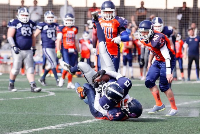 Cardano Gets Ready For Attack On DeFi, Reveals New Stablecoin