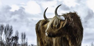 Solana Continues Bullish Pattern, Becomes The 10 th Biggest Cryptocurrency