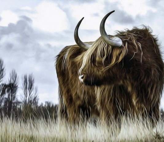 Solana Continues Bullish Pattern, Becomes The 10 th Biggest Cryptocurrency