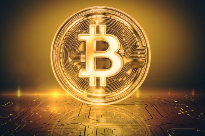 Variety Of Short-Term Bitcoin Holders Strikes Lowest Level, How This Impacts The Cost