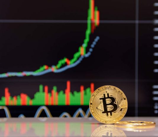 ARK Invest CEO: Bitcoin In “Capitulation Stage,” Still Set For $500 k