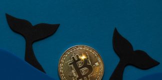 Bitcoin whales stock up on crypto in the middle of ‘strong buy signal’