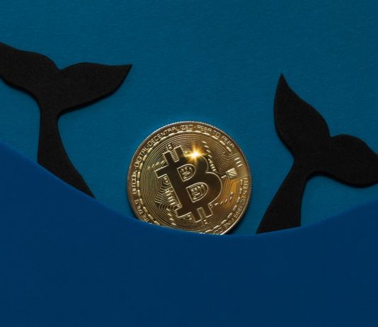 Bitcoin whales stock up on crypto in the middle of ‘strong buy signal’ Bitcoin whales stock up on crypto in the middle of ‘strong buy signal’