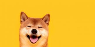 Dogecoin: A Quick History Of Crypto’s Greatest Meme