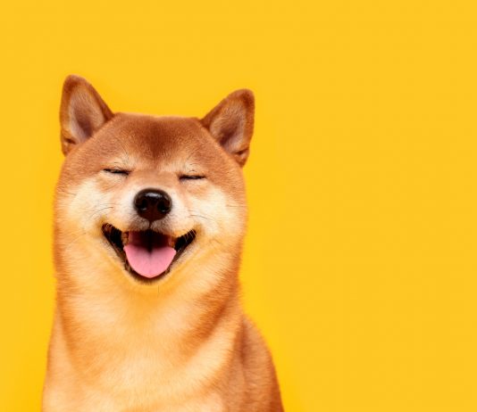 Dogecoin: A Quick History Of Crypto’s Greatest Meme