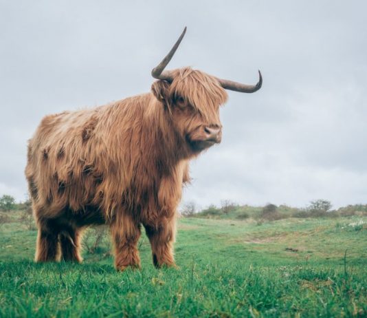 Quant Explains Why Bitcoin Bull Cycle Is Just In Stage 1