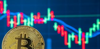 Bitcoin rate– Live: Crypto market resilient as Cardano, Solana and Hex see record-breaking highs
