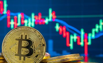 Bitcoin rate– live: Crypto back above $50 k as ‘Alt Season’ sees Cardano, Solana and Hex struck all-time highs
