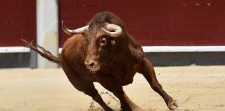 Cardano (ADA) Breaks $3, Here’s Why Cost Will Break $4 In Coming Week
