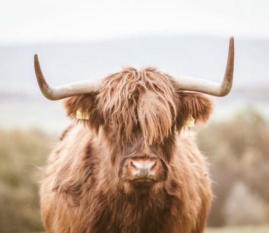 As Ethereum Approaches $4k, On-chain Data Reveals Rally Will Continue Even Greater