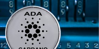 IOG Rejects Reports About Cardano Smart Contracts Platform