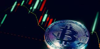 Bitcoin rate crash was ‘incorrect dip’ that eclipsed huge day for crypto, experts declare
