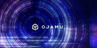How Ojamu Forecasts Ideal Techniques for Marketing Projects How Ojamu Forecasts Ideal Techniques for Marketing Projects