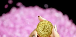 Bitcoin On-Chain Data Exposes Why This Selloff Is Various From May’s Crash