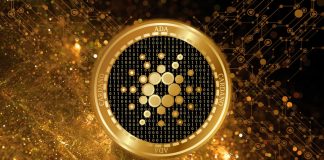 Cardano Effectively Releases Alonzo HFC, However Why Is Cost Down?