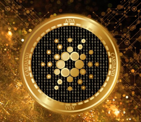 Cardano Effectively Releases Alonzo HFC, However Why Is Cost Down?