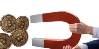 While More Comprehensive Crypto Market Holds Its Collective Breath, Whales Are Packing Up On Bitcoin