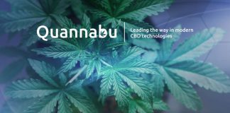Everything about Quannabu, the Cryptocurrency Developed for the Marijuana Market Everything about Quannabu, the Cryptocurrency Developed for the Marijuana Market