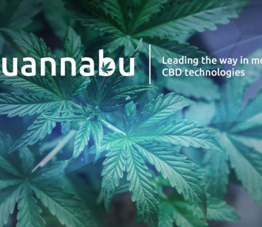 Everything about Quannabu, the Cryptocurrency Developed for the Marijuana Market Everything about Quannabu, the Cryptocurrency Developed for the Marijuana Market