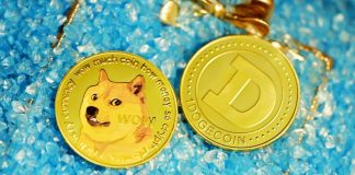 Dogecoin Worth Drops Virtually 10% Following China’s Crypto Ban