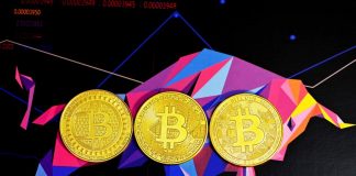 Bitcoin Jumps 10% In 24 Hours, Dead Feline Bounce Or Genuine Continue?