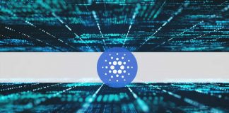 Grayscale Report Reveals The Great, The Bad, And The Unsightly Of The Cardano Network