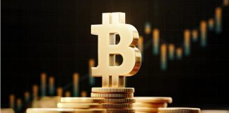 Bitcoin Diamond Hands Reach New Highs, Sneak Peek Prior To Fresh Rally?