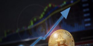 Variety Of Bitcoin Active Entities Grows 19% To Strike 2020 Bull Levels, Establish For New Highs?