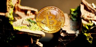 Bitcoin Short-Term Supply Reaches Lowest Level Bitcoin Short-Term Supply Reaches Lowest Level