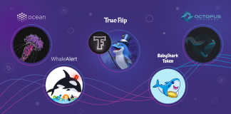 Shrimps, Sharks, Whales and Other Fish in Crypto