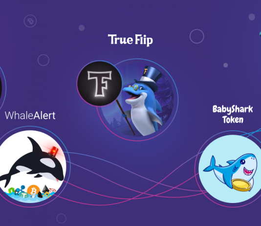 Shrimps, Sharks, Whales and Other Fish in Crypto Shrimps, Sharks, Whales and Other Fish in Crypto