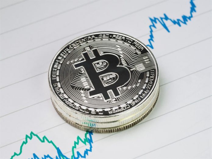 Bitcoin rate news– live: BTC and dogecoin skyrocket after Elon Musk validates crypto holdings, Solana strikes ATH