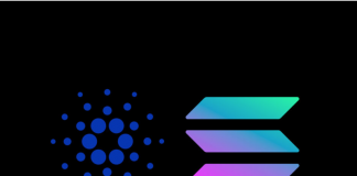 Cardano, Solana Lead Altcoins As Market Sees Record Inflows
