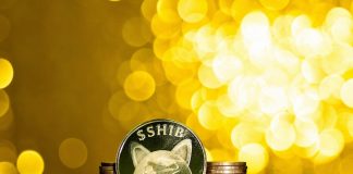 Shiba Inu coin rate sky rockets to all-time high in spite of crypto crash