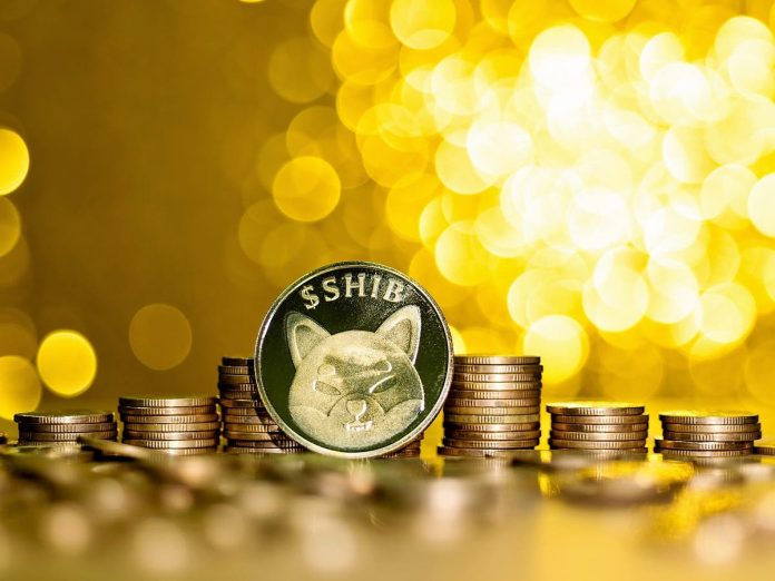Shiba Inu coin rate sky rockets to all-time high in spite of crypto crash