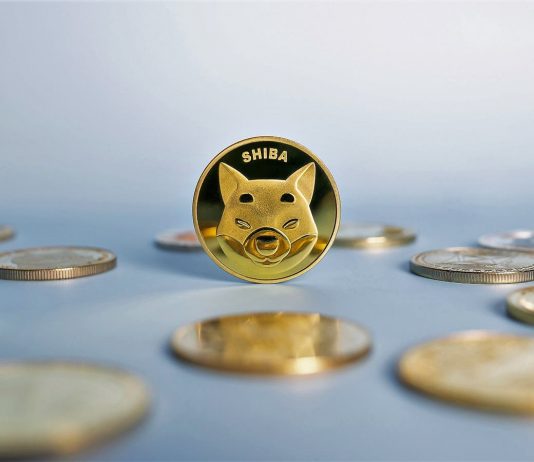 What is Shiba Inu coin? ‘Dogecoin killer’ outshines crypto competitors with 750,000% cost gains